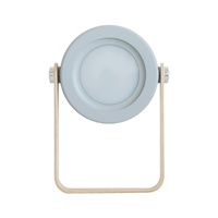 Gray Transformable Lantern Desk Lamp with USB Rechargeable Battery - Touch Control, 3 Brightness Levels, 0.3W