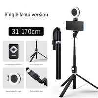 Single Light 3-in-1 Bluetooth Selfie Stick with Tripod and Remote Control - Adjustable for Smartphones